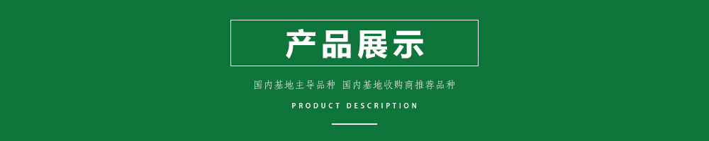 1557902036175821.jpg 00新產(chǎn)品.jpg