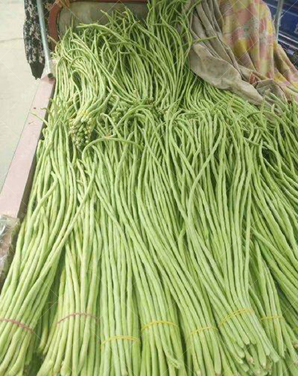 1558057530454955.jpg 53.jpg