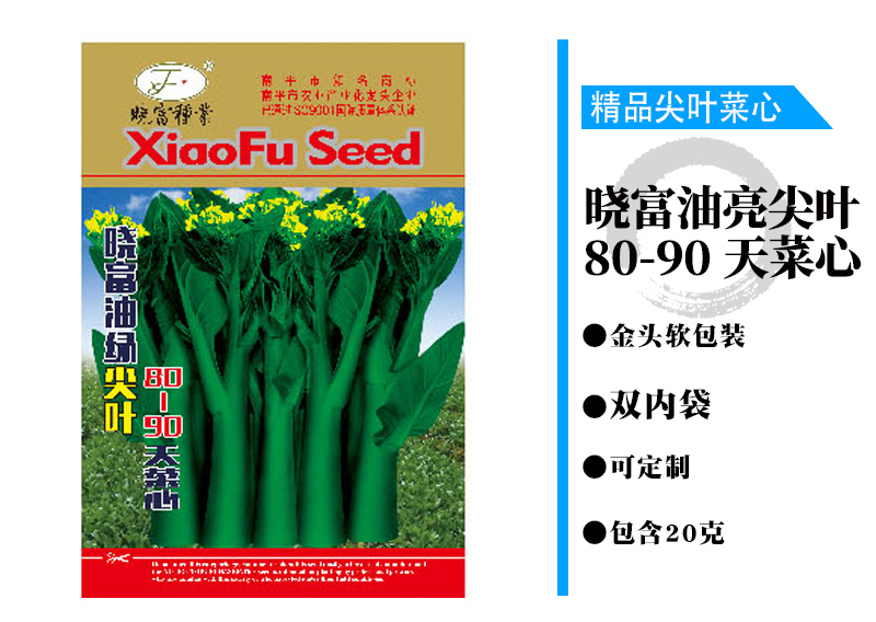 1602036747326467.jpg 曉富油亮尖葉80-90天菜心.jpg