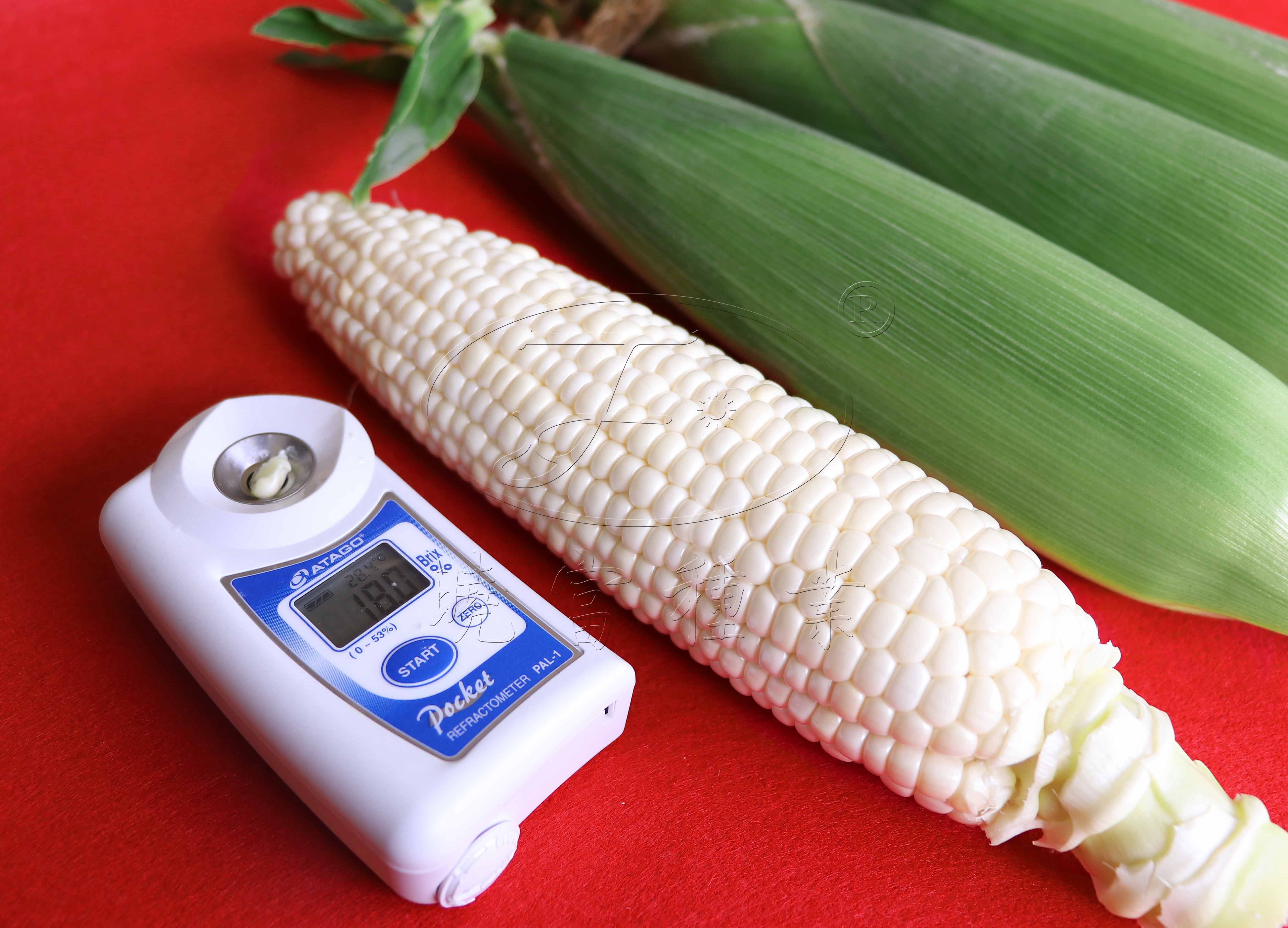 1608451019988430.jpg 1.jpg